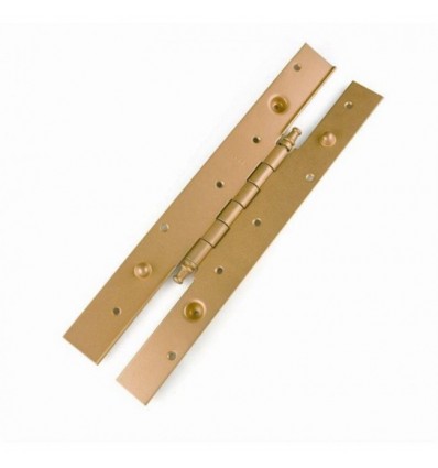 BISAGRA CANTONERA H L 203X45 105-35 R10 D