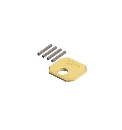 PLACA EMBELLECEDOR CERROJO CSI SAG DORADA
