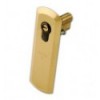 ESCUDO SEG 130X55 ORO EZCURRA 424 BORJA