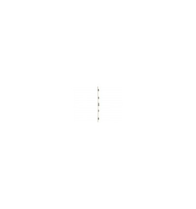 CERR 3P C/GOLP L P 65 1801 BPS