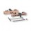 PLANT PERNIO 16 499 MA701160G033 SOLAP