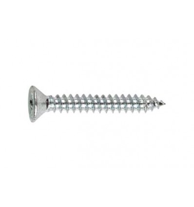 TORNILLO C/AVELLANADA 5X30 ZINCADO