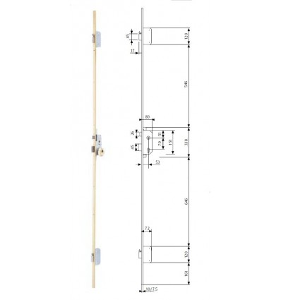 CERR 3P C/GOLP A E 50 TLPS3 T60 C/L 40